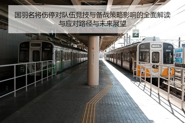 国羽名将伤停对队伍竞技与备战策略影响的全面解读与应对路径与未来展望 - Leyu