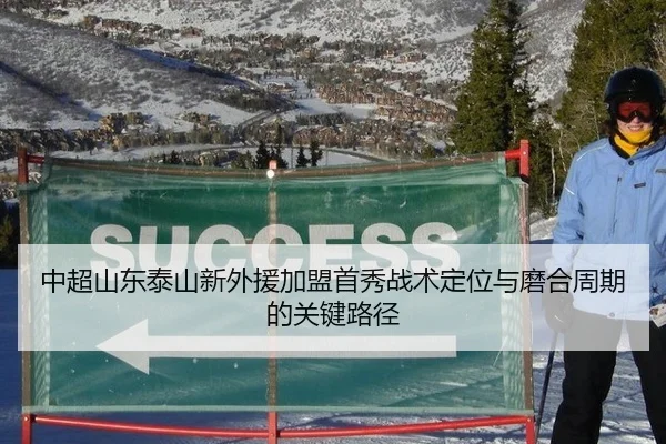 中超山东泰山新外援加盟首秀战术定位与磨合周期的关键路径 - Leyu